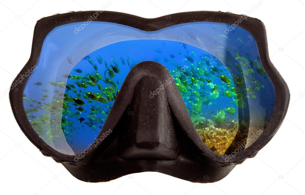 Underwater landscape is reflected in mask glasses for a snorkeling (diving )