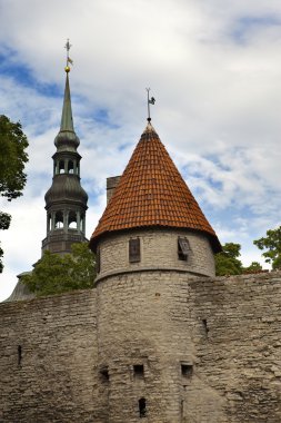 eski kentin çatıları görüntüleyin. Tallinn. Estonya.