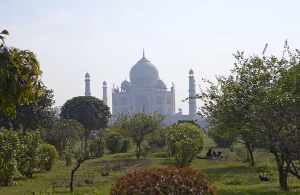 Taj Mahal i Agra, Uttar Pradesh, Indien. Titta i en morgon töcken genom en trädgård på den motsatta flodstranden — Stockfoto