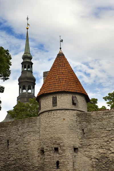 Vista de los tejados de la ciudad vieja. Tallin. Países Bajos . —  Fotos de Stock