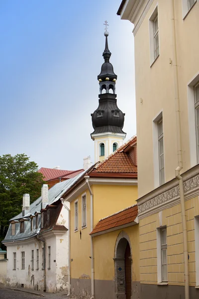 Visa gamla stadens tak. Tallinn. Estland. — Stockfoto