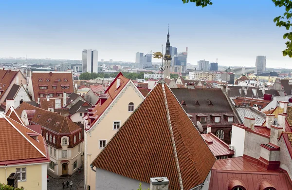 Blick auf die Dächer der Altstadt. Tallinn. Estland. — Stockfoto