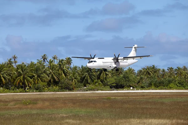 椰子の木 々の間の着陸帯の上に着陸飛行機 — ストック写真