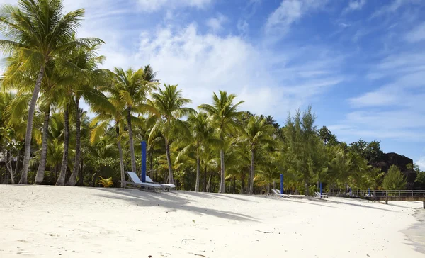 Umbrella and chaise lounges on a beach. — Stock Photo, Image