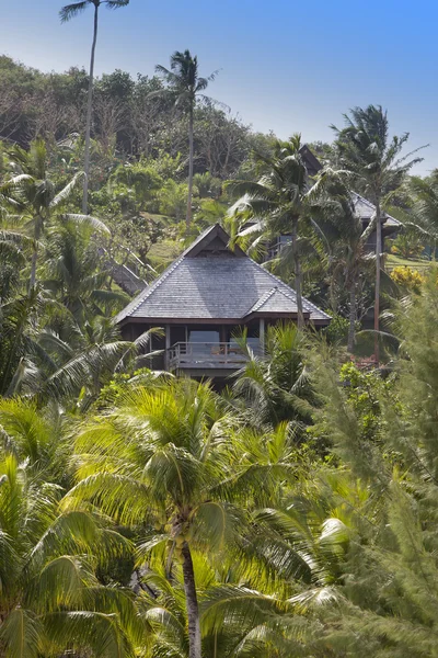 Pendiente de la colina en una selva tropical y cabañas de madera — Foto de Stock