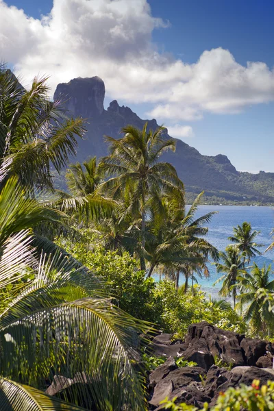 Vista da montanha Otemanu através das palmas das mãos e do oceano. Bora-Bora. Polinésia — Fotografia de Stock