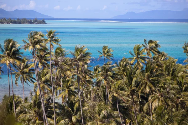 Azure lagoon of island BoraBora, Polynesia. Mountains, the sea, palm trees — Stock Photo, Image