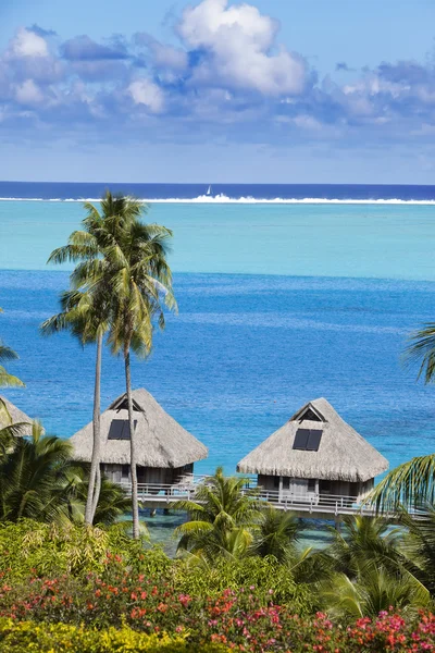Blauwe lagune van het eiland van Bora Bora, Polynesië. Een weergave van hoogte op palmbomen, traditionele lodges over water en de zee — Stockfoto