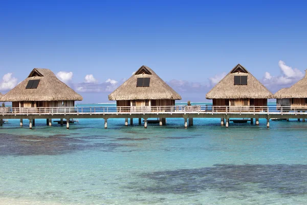 The island with palm trees in the ocean — Stock Photo, Image