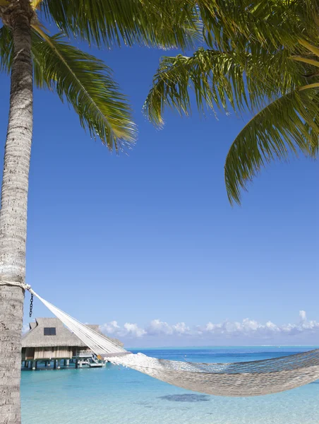 Hammock between palm trees and the sea — Stock Photo, Image