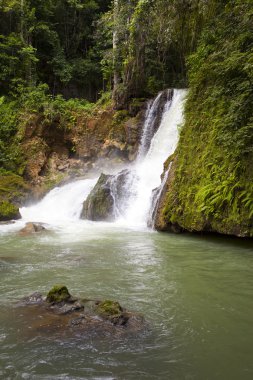 Jamaika. Dunn'ın river Şelaleleri