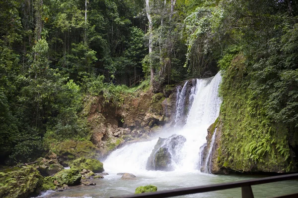 Jamaica. dunn 's river waterfalls — Stockfoto