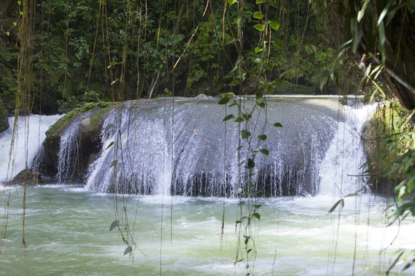 Jamaica. Dunn's River waterfalls — Stock Photo, Image