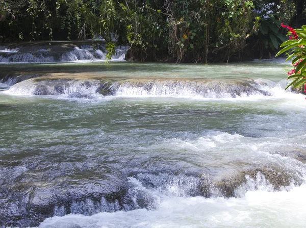 Jamaica. dunn 's river waterfalls — Stockfoto