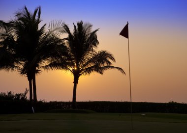 Hindistan. Goa. Palmiye ağaçları ve Etiketler golf sahasında bir gün batımı
