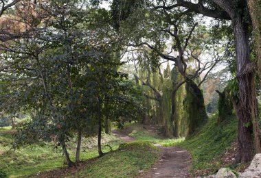 Küba. Havana. Şehir Parkı