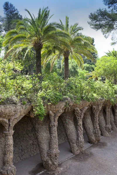 Tropical plants in garden. Barcelona — Stock Photo, Image