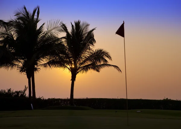 Ινδία. Γκόα. Ηλιοβασίλεμα πάνω από φοίνικες και ετικέτες στο γήπεδο του γκολφ — Φωτογραφία Αρχείου