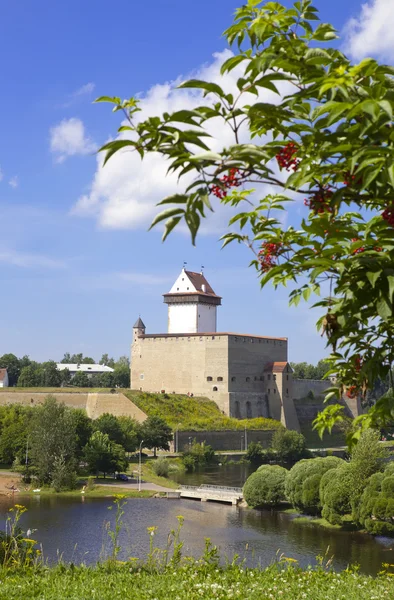 Estonia. Narva. Antigua fortaleza en la frontera con Rusia — Foto de Stock