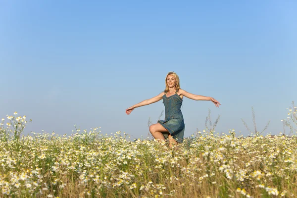 The happy young woman in the field  of camomiles — Stock Photo, Image