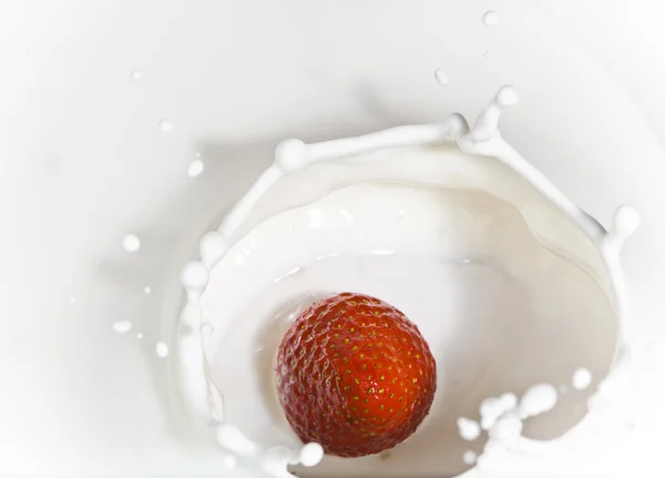 La fragola che cade in latte — Foto Stock