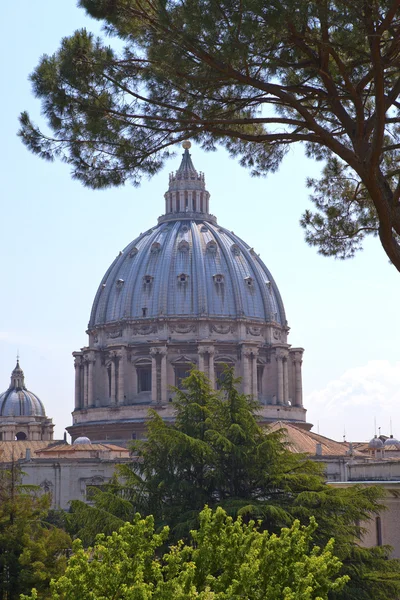 Vatican. Peterskathedrale — Stockfoto