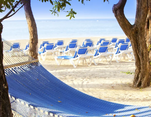 Hammock between palm trees and the sea — Stock Photo, Image