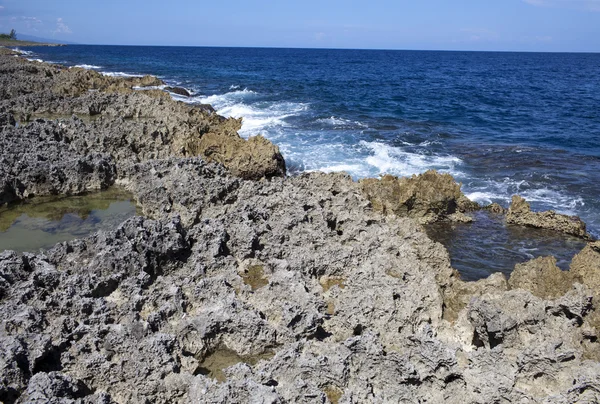 La costa dai coralli. Giamaica. — Foto Stock