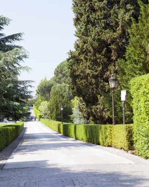 Vatikan-20 Eylül: Vatikan, Roma, İtalya, 20 Eylül 2010 tarihinde Vatikan bahçeleri caddede