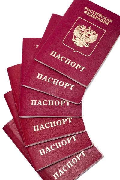 Заграничные паспорта России — стоковое фото