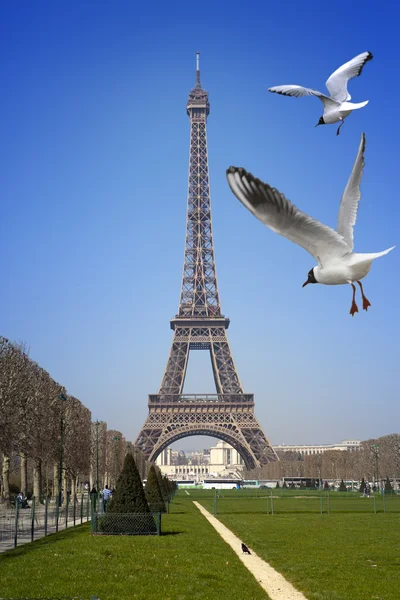 Paris. Vista da Torre Eiffel e dos pássaros voadores — Fotografia de Stock