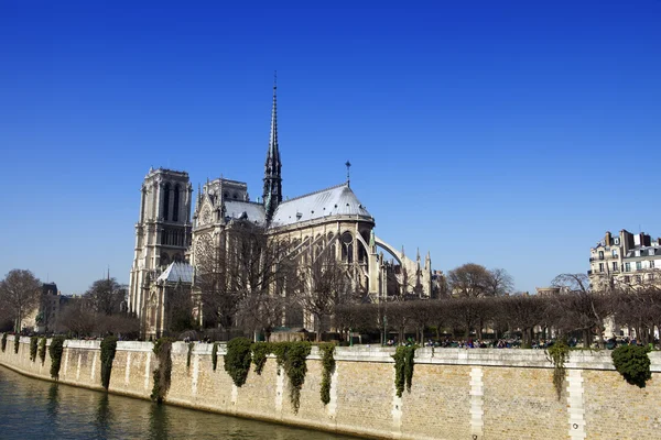 França. Paris. Notre-Dame. . — Fotografia de Stock