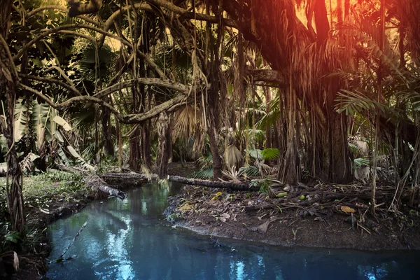 Mauritiusi jellege. Tó és a trópusi fák — Stock Fotó