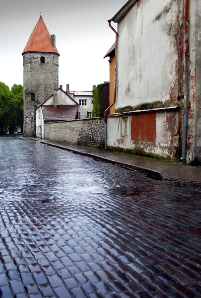 Dopo la pioggia. Strada e torre di una cinta muraria. Città vecchia. Tallinn, Estonia — Foto Stock