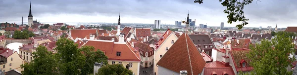 Vista de la ciudad desde una plataforma de observación. Tallin. Países Bajos. —  Fotos de Stock