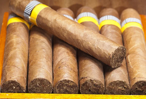 Küba puroları, el yapımı.