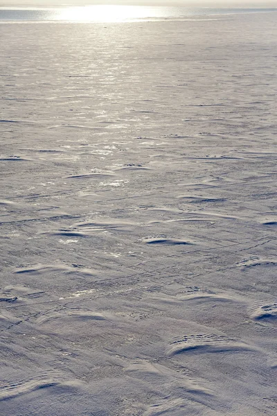 Viken yta täckt med is — Stockfoto