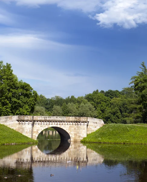 The bridge over a river in park — Stock Photo, Image