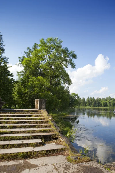 The old destroyed bridge in park — Stock Photo, Image