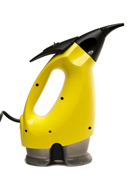 Handheld steam cleaner — Stock Photo, Image