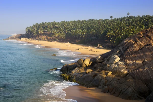 La riva del mare con pietre e palme. India. Kerala — Foto Stock