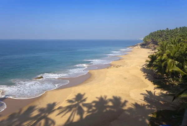 海とヤシの木の砂浜の平面図です。インド — ストック写真