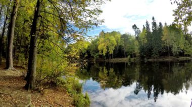 sonbahar ahşap gölde yansıyan