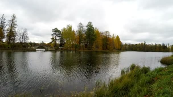 jour nuageux d'automne sur le lac. Russie 