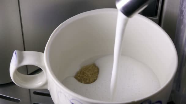 Le lait de mousse fabriqué est versé dans une tasse, au ralenti — Video