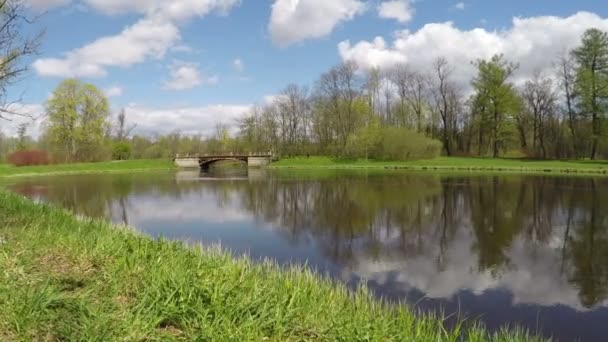 Die kleine schäbige Brücke im Park über dem See. — Stockvideo