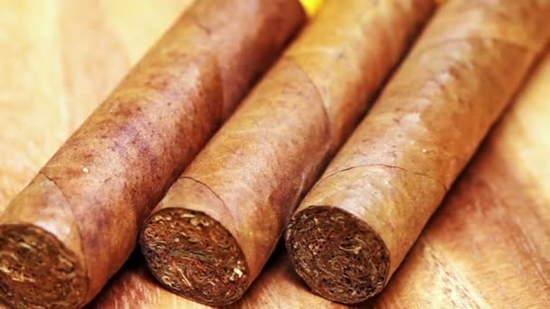 Кубинские сигары, ручная работа — стоковое видео