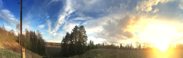 Borový vrch na pozadí modré oblohy a jarní pole trávou loňského roku při západu slunce — Stock fotografie