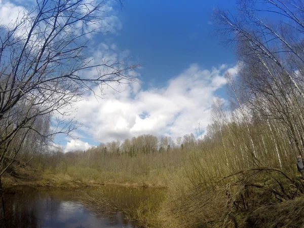 El río en el bosque de primavera —  Fotos de Stock
