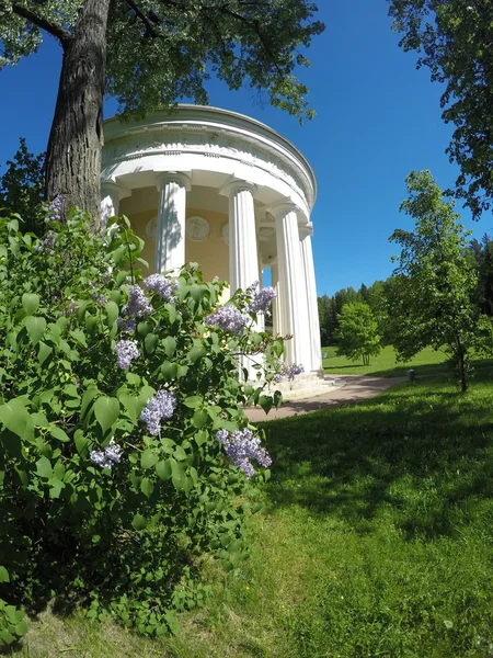 Rusia. Pavlovsk. Pabellón Templo de la amistad . —  Fotos de Stock